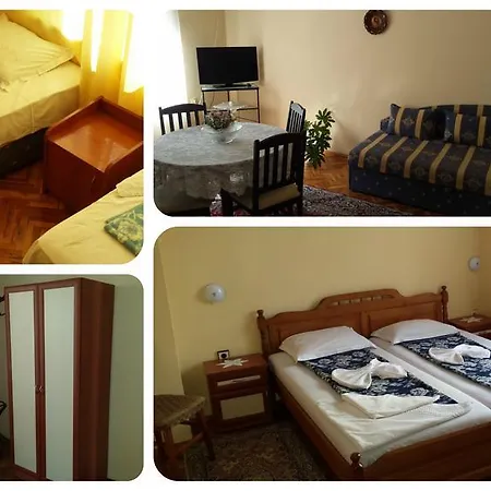 Margarita 게스트하우스