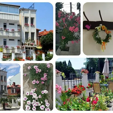 게스트하우스 Margarita